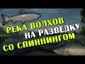 РУССКАЯ РЫБАЛКА 4. Спиннинг на Волхове. Судак и Лосось