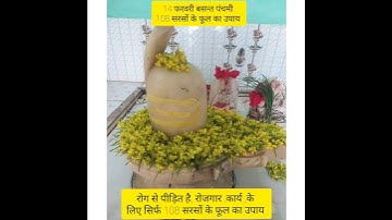 108 💐 सरसों के फूल का उपाय || सभी प्रकार के आराध्य रोगों से मुक्ति #pinditpradeepmishra #basant.....