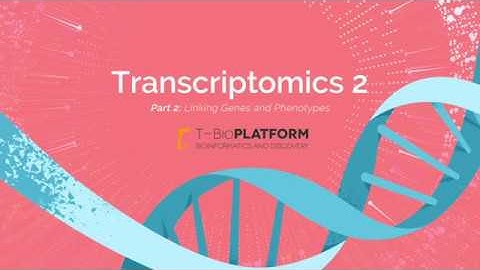 Transcriptomics 2: statistical analysis of gene expression