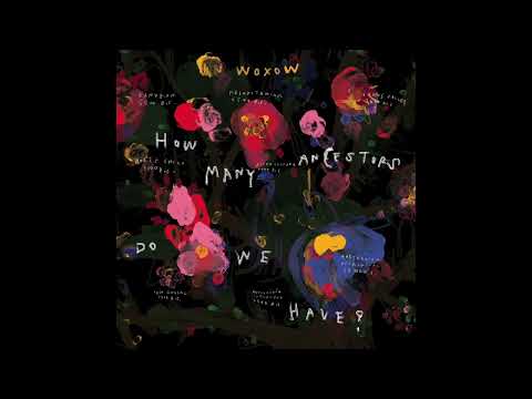 Woxow — Woxow - Blueprint feat. Raashan Ahmad