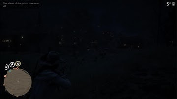 RDR2 1v1 against random