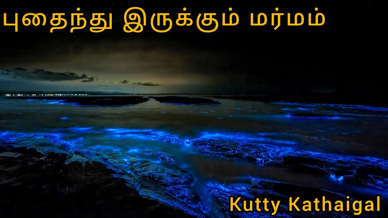 ⚓🚢✈️மர்மத்தின் முதல் பெயர் இது - Cursed sea.