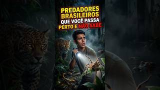 Os bichos que você nunca quer encontrar no escuro 🐆 #curiosidades #animais #fatos