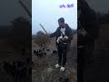 إستند أيوي كلو تسروحت 