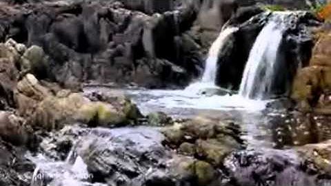 صلاة التراويح 17 رمضان 1436 حي كعبوب سطيف  2015 للقارئ قويدر بن رزقة