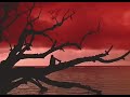 Robinson Crusoe (1997) - Movie Trailer #4