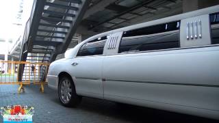 Lincoln Limousine - Luxury Car for Wedding Rent