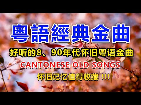 【粵語經典金曲】好听的8、90年代怀旧粤语金曲 ✨粤语经典怀旧歌曲💞 怀旧记忆值得收藏 - Cantonese Old Songs