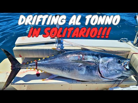 DRIFTING AL TONNO IN SOLITARIA – CONSIGLI E STRATEGIE