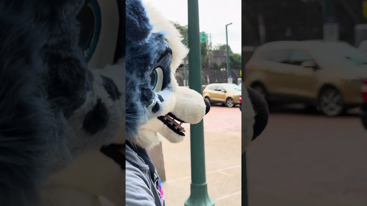 Wimdy at Anthrocon