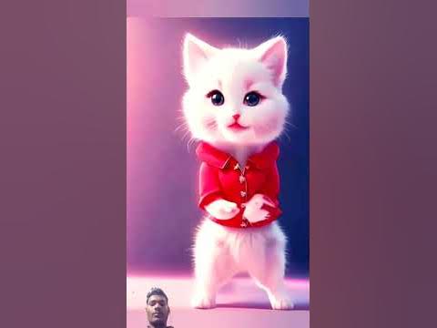 smart cat dance #cat #cute #song #smart #cat #smartcat #funny #cute # ...