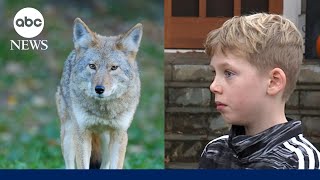 Coyote attacks 9-year-old playing hide-and-seek in Oregon
