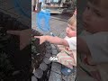 Kid vs. Nature: Epic Bug Hunt Fail! #shorts