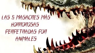 Las 5 Masacres más Horrorosas Perpetradas por Animales