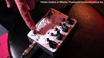 Interview with Howie Simon "Xotic Effects Robotalk 2"