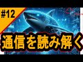 Wiresharkで通信を解読!【サイバーセキュリティ入門#12】#サイバーセキュリティ #プログラミング #tryhackme