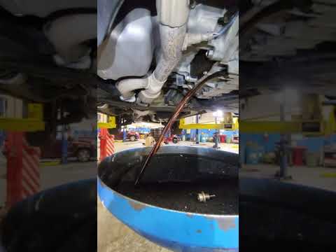 Oil Drain Splash Filter From The Gods Tevideos Shorts Honda Transmissionfluid Oildrain