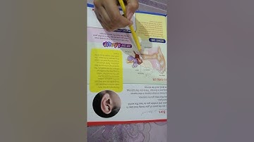 Class Three Science Chapter no 1 Topic # 1.3 Ears