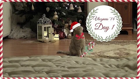 Vlogmas, No.1: Makeup. Christmas Decor Shopping. Sushi. Louis