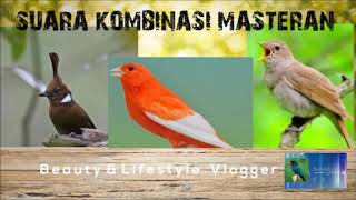 MASTERAN KOMBINASI.CILILIN KENARI CAK LONDO