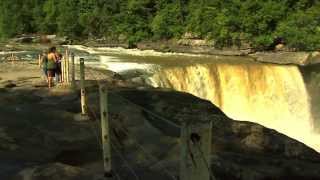 Wkyt - My Old Kentucky Home