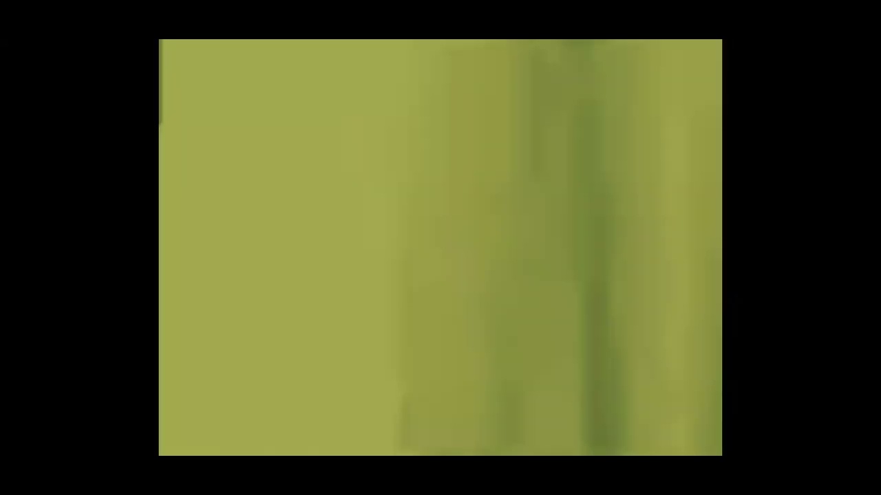 walk-em-like-a-dog-meme-bob-youtube