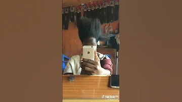 2025 254 Msanii M5 Rasta 
