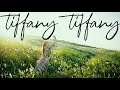 METAMUSE (ZOC) 『tiffany tiffany』 Music Video