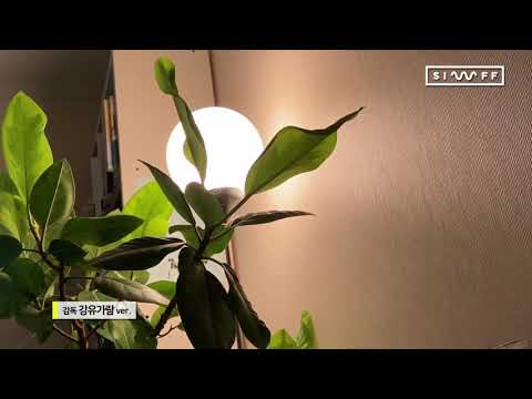 [SIWFF2020] 시우프의 #수고했어오늘도 with 강유가람 (full)