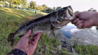 Trying Out The New FX Custom Rod!!