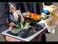 Coastal Foraging with INSTA FAMOUS Corgi and Foodie