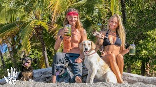 cocktail video
