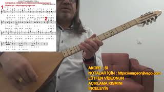 Solfej V2 Eşşeği̇ Saldim Çayira Kisa Sap Bağlama Ekleyen Surgeon