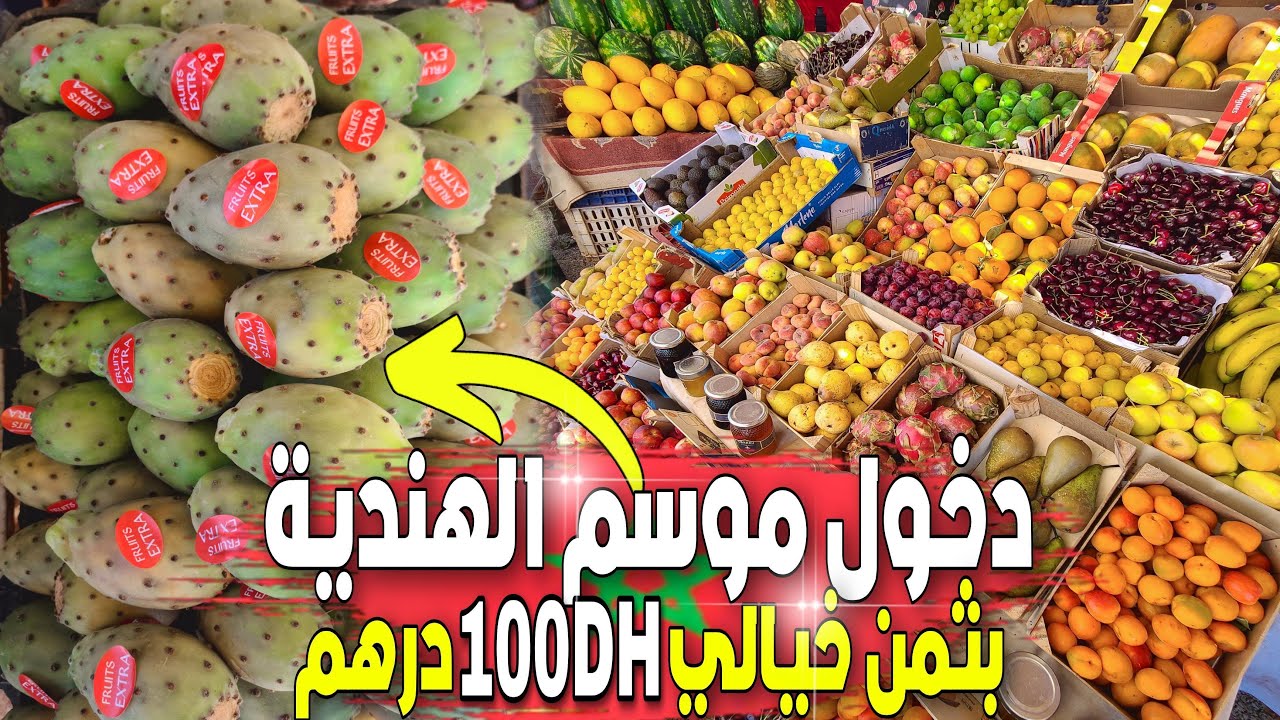 دخول موسم الهندية بثمن خيالي 100 درهم للكيلوغرام ياحسراه على الهندية ب 5 دراهم للكيلوغرام
