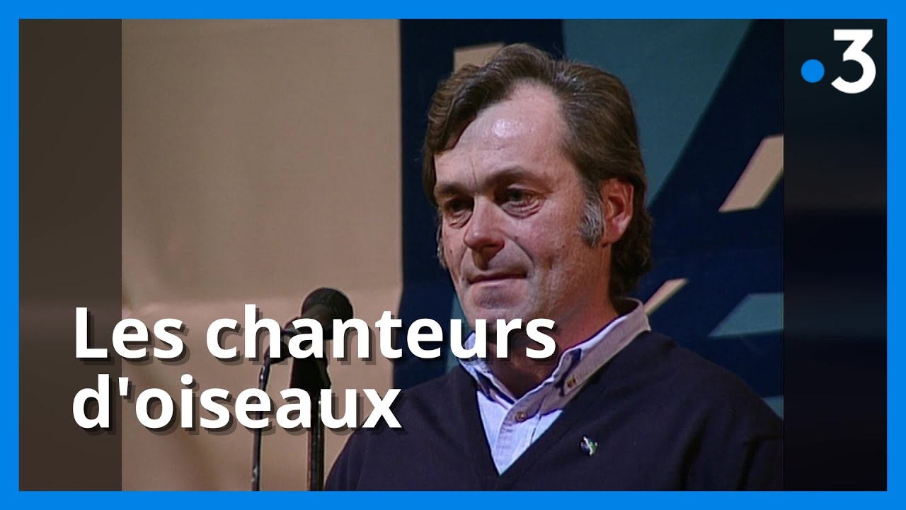 Zorro le siffleur et les chanteurs d'oiseaux de la baie de Somme