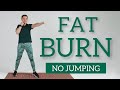 15 min Standing Morning Workout /Feel Good workout /Morning Routine/ Beginner Friendly / At Home