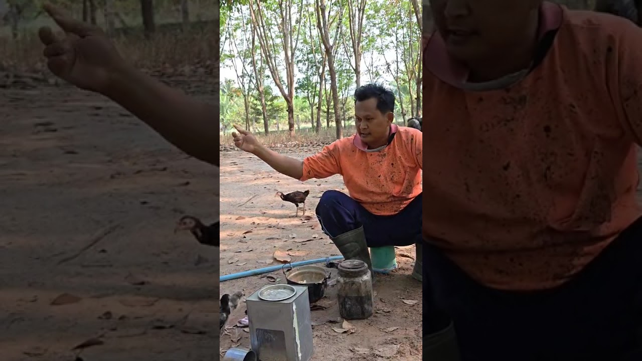 พ่อไก่ครับ