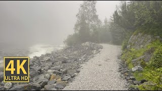 Misty Mysterious River Nature Walk 4K (With Ambient Nature Sounds And Music)