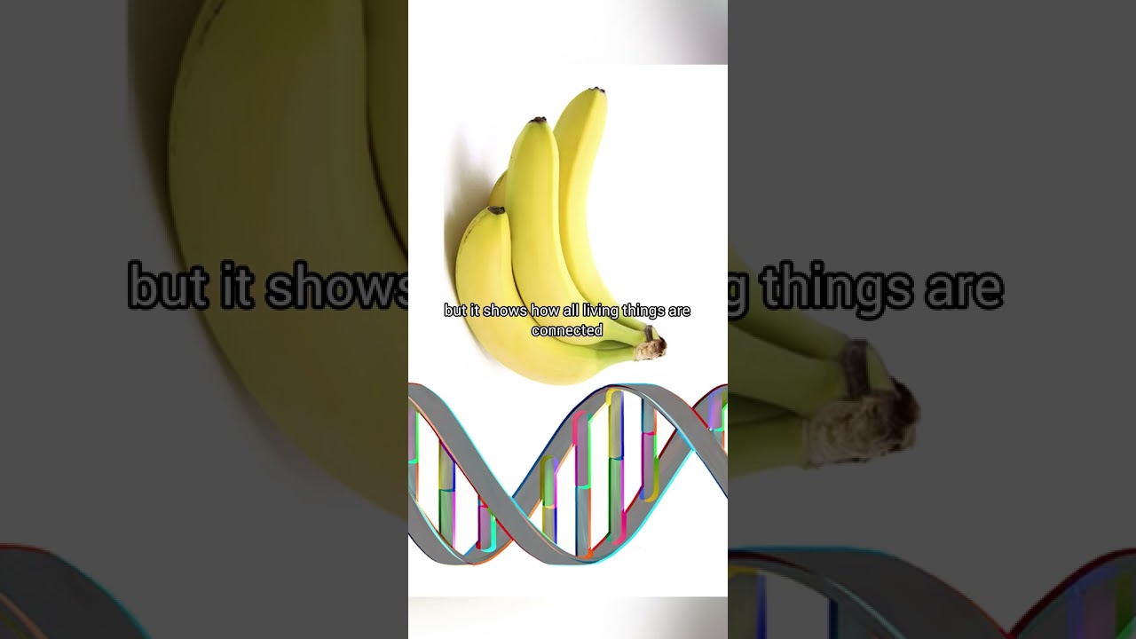 Did you know? Factology