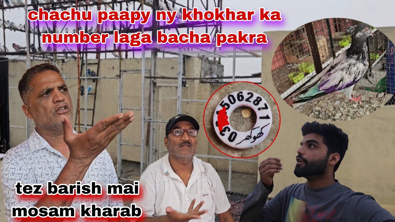 Chachu paapy ny khokhar ka number laga bacha pakar leya tez barish mai😅 ...