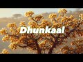 Dhunkaal Commiphora Sulcata Chiov Barashada Dhirta Dalkeena Hooyo Dhunkaal Commiphora Sulcata Chiov Barashada Dhirta Dalkeena Hooyo