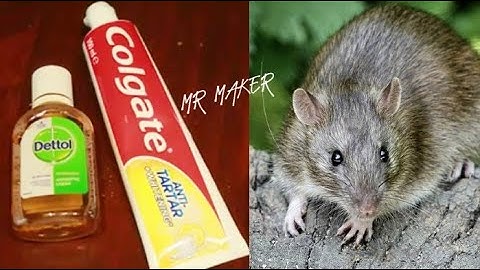 JUST 5 MINUTES | How To Get Rid of Mouse Rats, Permanently In a Natural Way | JUST 5 MINUTES