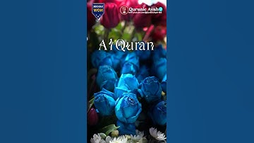 Al Quran **سورة الكهف قرآن شاشة سوداء  سعد الغامدي كروما ت قرآن #كروما_شاشة_سوداء**