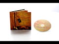 Reverend Robert Wilkins - Prodigal Son (CD) - Bear Family Records