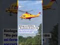 Dal letto dell'ospedale la biologa accoltellata mentre era in auto nel Lodigiano da un uomo