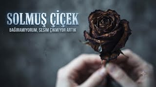 Solmuş Çiçek 
