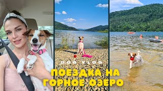 DOG VLOG | Оказались На Границе Со Словакией | Поехали с Собакой На Горное Озеро в Польские Карпаты