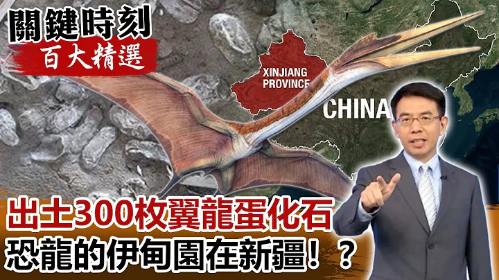 出土300枚天山哈密翼龍蛋化石 恐龍的伊甸園在新疆！？【關鍵時刻百大精選】- 劉寶傑 黃創夏 馬西屏 - 天天要聞
