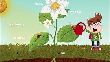 Learny Land- Plants-from How It Works? Earth Science4children/educational game preschool-gradeschool