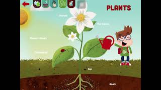 Learny Land- Plants-from How It Works? Earth Science4children/educational game preschool-gradeschool screenshot 2